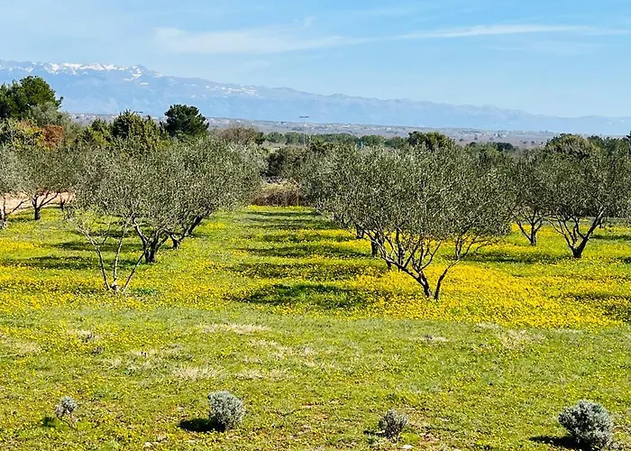 Sanja Διαμέρισμα